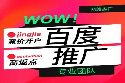 成功案例：专业SEM托管服务助力企业抢占行业制高点